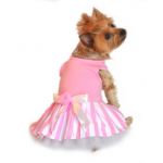 TuTu T shirt dress
